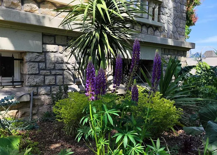 La Maison Au Toit 4* エスパリオン