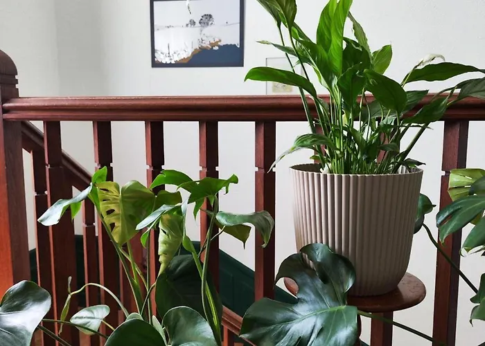 La Maison Au Toit 4* エスパリオン