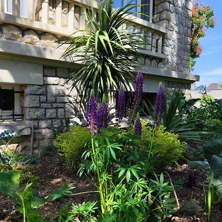 La Maison Au Toit 4* אספאיו