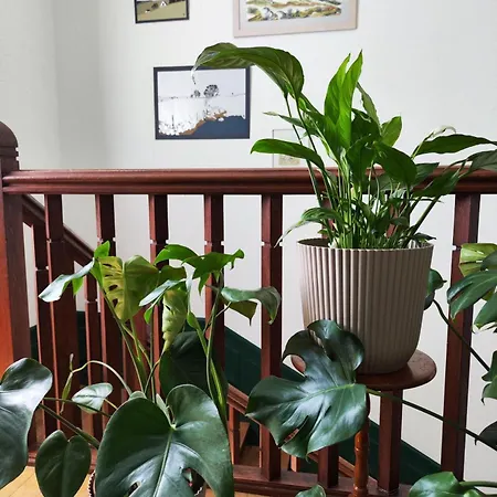 La Maison Au Toit 4* اسباليون